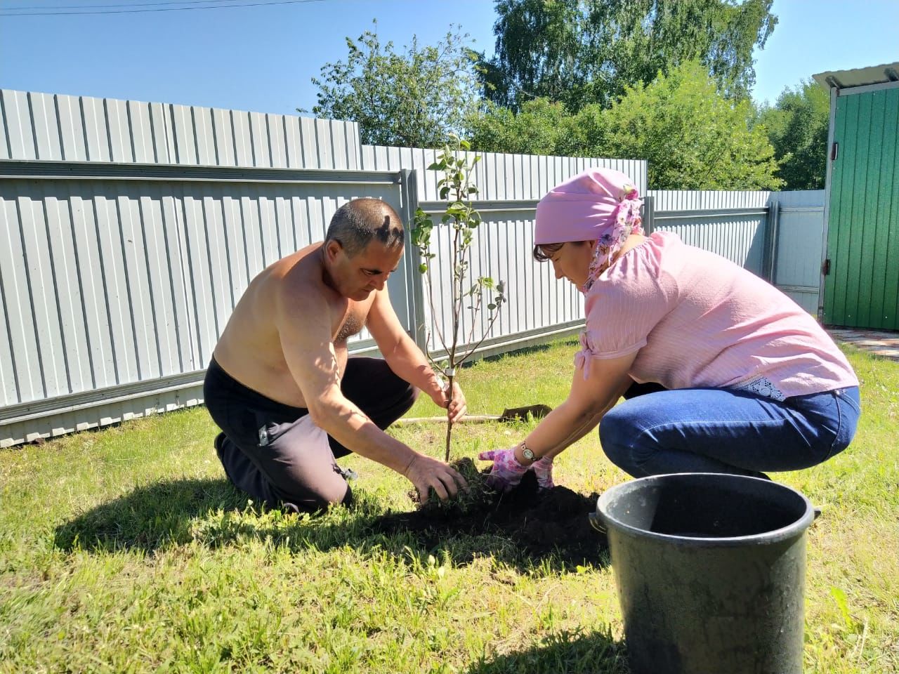 Кече Кибәхуҗа җирлеге алмагачларга баеды