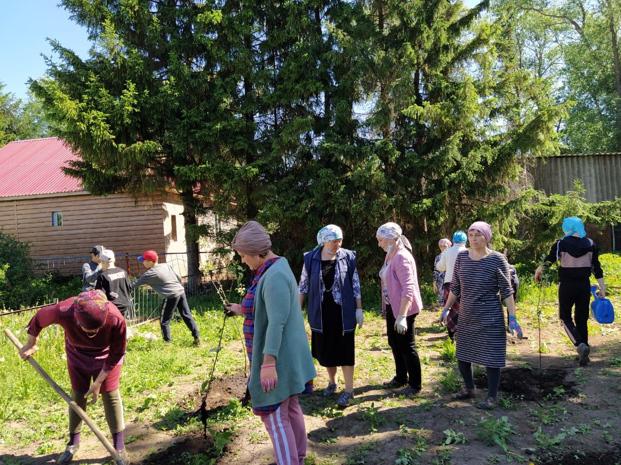 Кече Кибәхуҗа җирлеге алмагачларга баеды