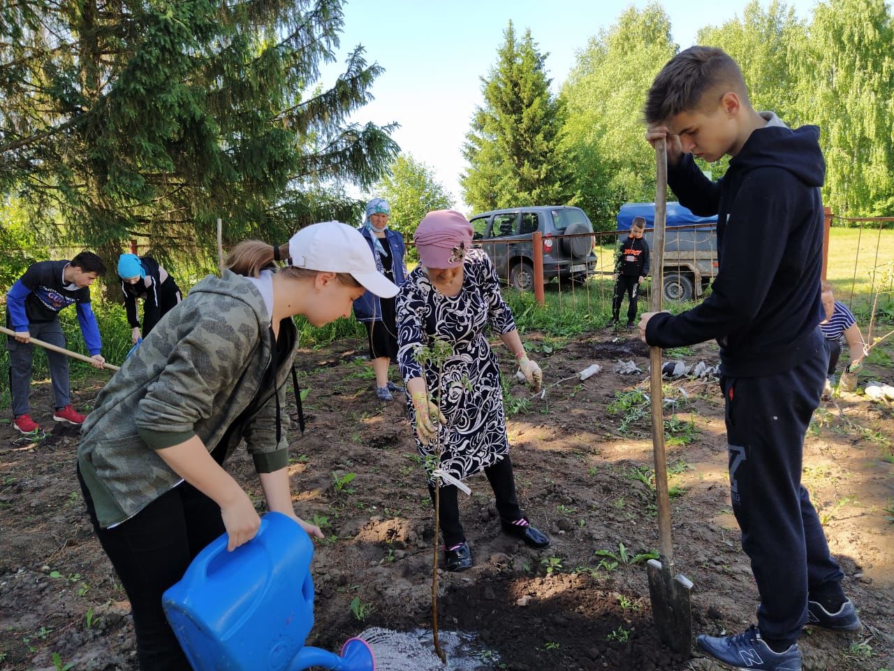 Кече Кибәхуҗа җирлеге алмагачларга баеды