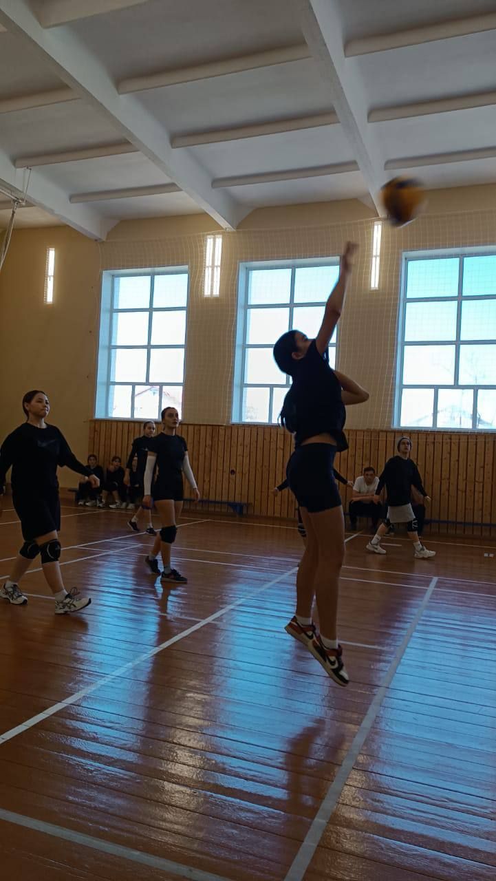 «Алдынгылар Кубогы»на волейбол буенча ачык ярышлар узды