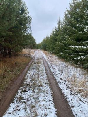 Юлларда бозлавык, сак бул!