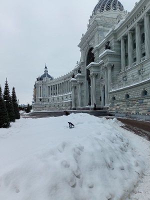 «Казанга гашыйк бул» бәйгесендә катнашуга гаризалар кабул итү 30 апрельгә кадәр озайтылды