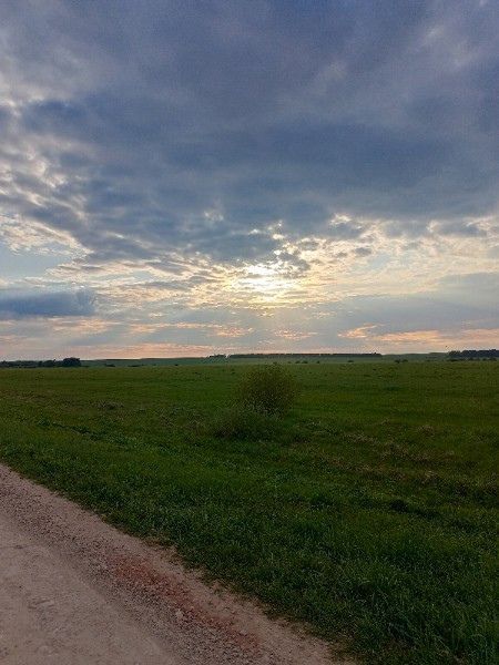 Cиноптиклар Татарстанда язгы салкыннар кабатлануын әйтте