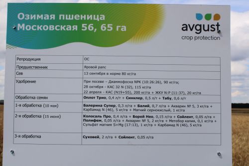 Бүген “Август“ компаниясе  «Кыр көне» үткәрде