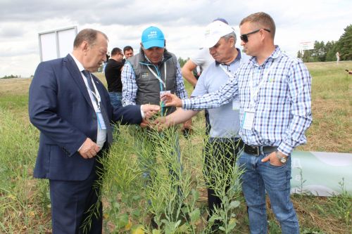 Бүген “Август“ компаниясе  «Кыр көне» үткәрде