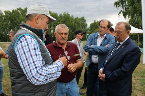 Бүген “Август“ компаниясе  «Кыр көне» үткәрде