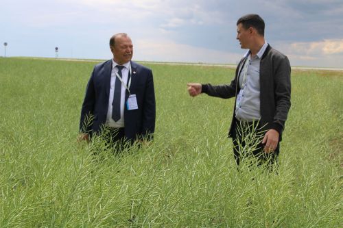 Бүген “Август“ компаниясе  «Кыр көне» үткәрде