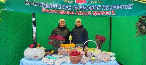 Теләчедә ярминкә узды