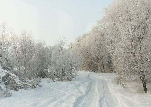 Февраль салкын булачак