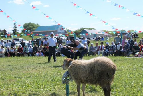 Кече Кибәхуҗада узган сабан туе батыры билгеле