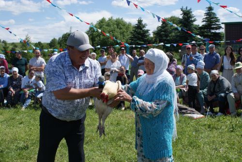 Кече Кибәхуҗада узган сабан туе батыры билгеле