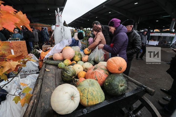 13 октябрьдә Казанда традицион авыл хуҗалыгы ярминкәләре узачак