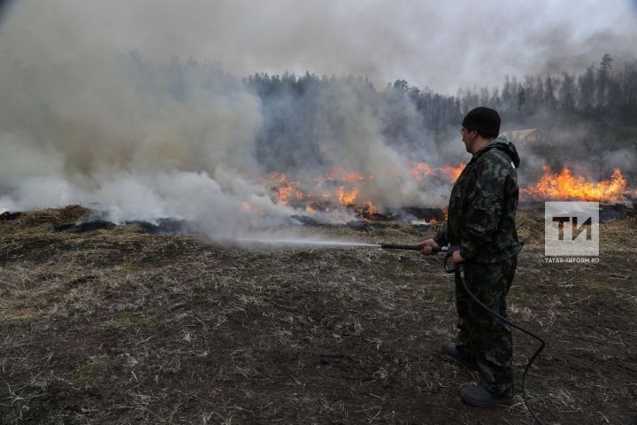 Татарстан урманнарында янгын куркынычы турында кисәтү игълан ителде