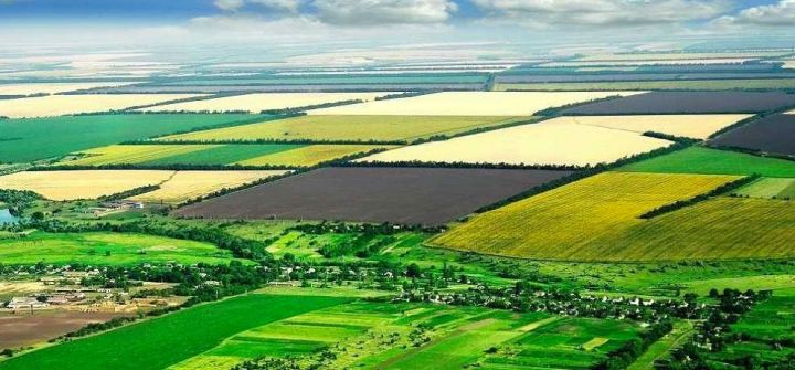 Марат Зяббаров: Наша задача – вовлечь в сельскохозяйственный оборот неиспользуемые земли путем передачи их заинтересованным фермерам