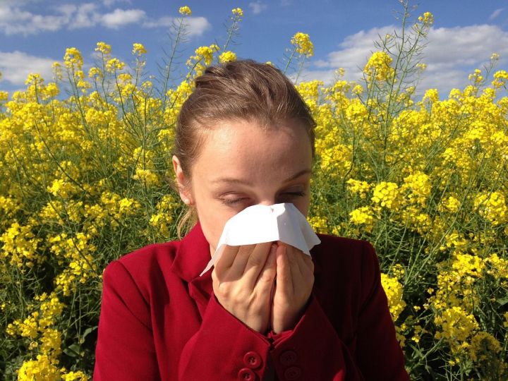 Россиялеләр арасында иң киң таралган аллергия ачыкланды
