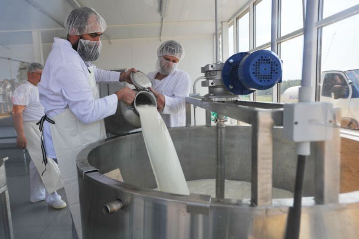 Минсельхозпрод РТ: Учитывая все затраты на производство, низкие закупочные цены на молоко у населения недопустимы