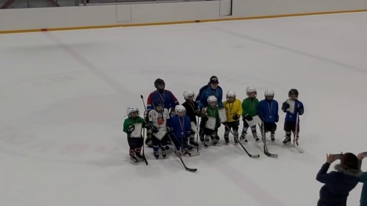 Малыши  играют в хоккей