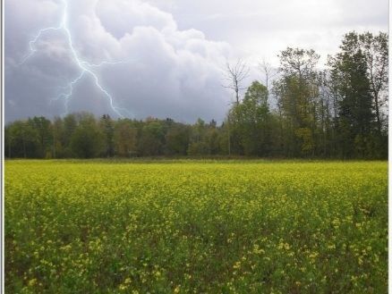 Консультация – предупреждение об интенсивности метеорологических явлений на территории Республики Татарстан Тюлячинского района