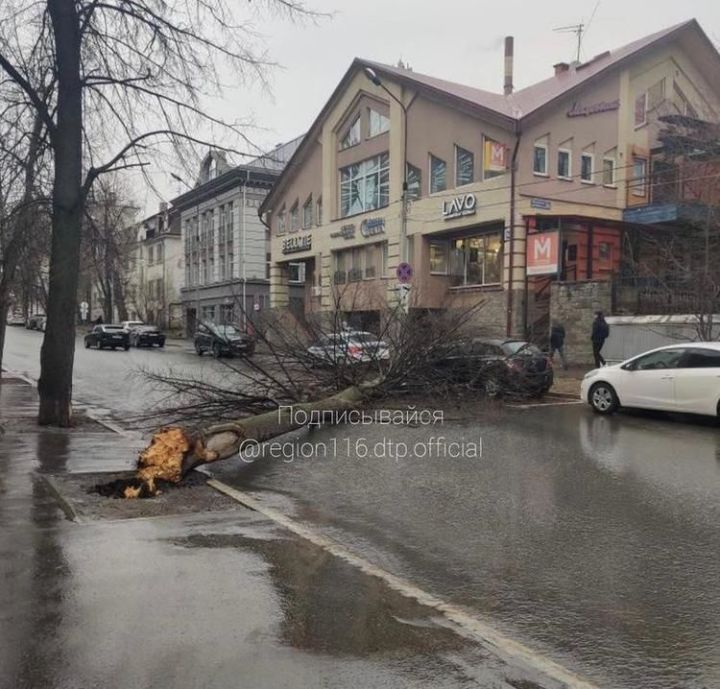 Көчле җил сәбәпле, Казанда автомобиль өстенә агач ауган