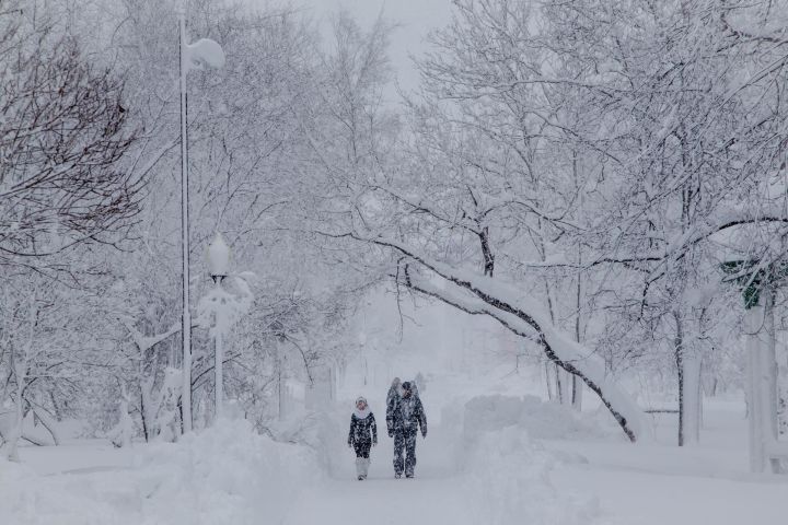 Юлларда сак йөрегез