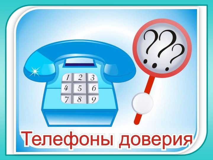 Опросы и «ящик гласности»: Минлесхоз Татарстана рассказал, как борется с коррупцией