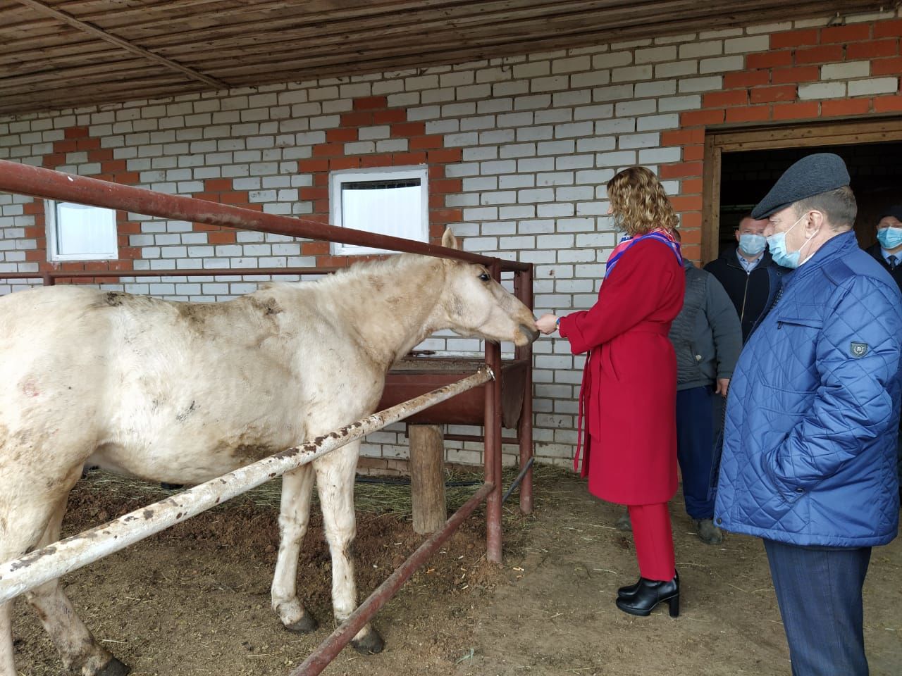 Ирина Волынец Теләчегә килде.