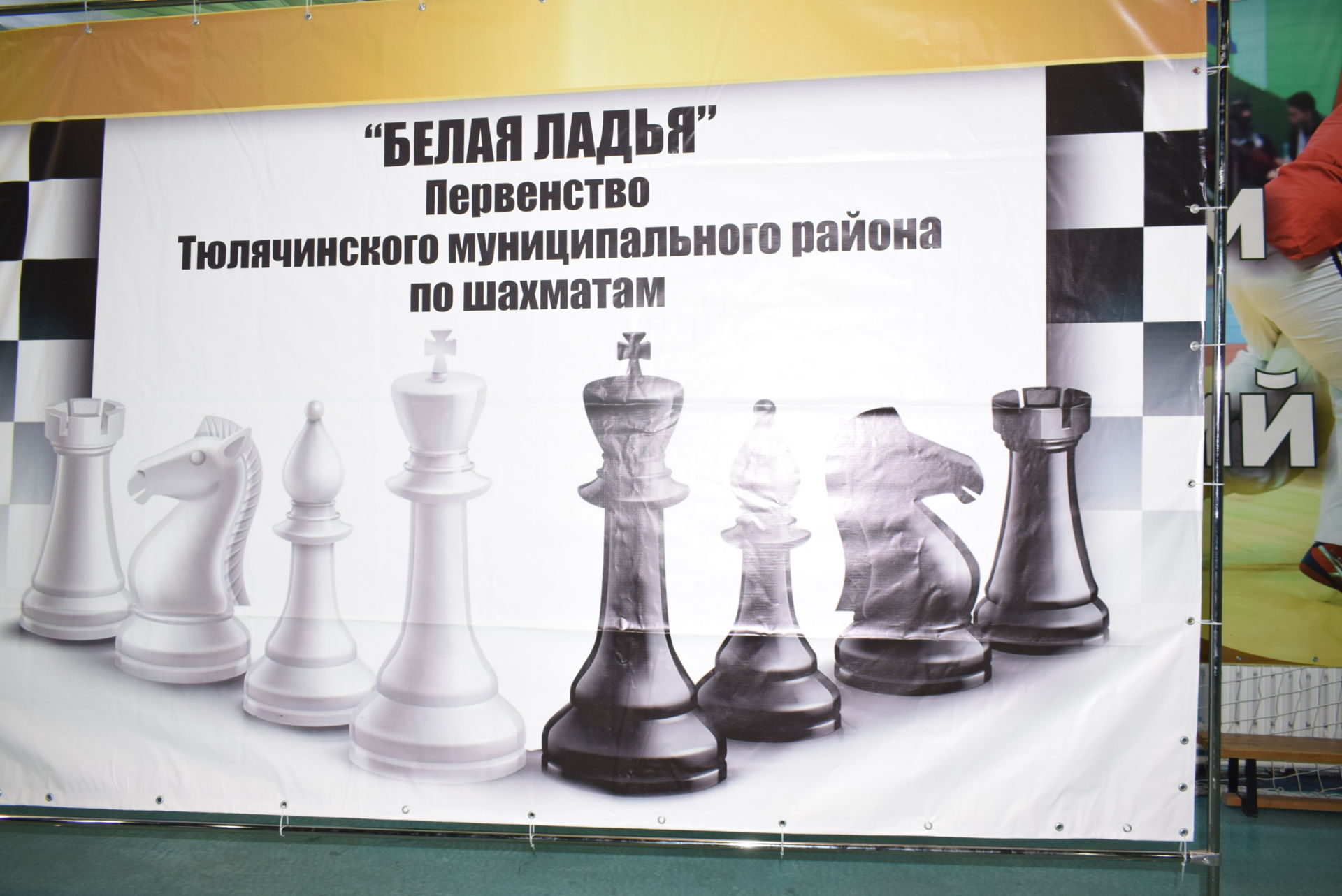 Шахмат - интеллектуаль акылны үстерергә ярдәм итә