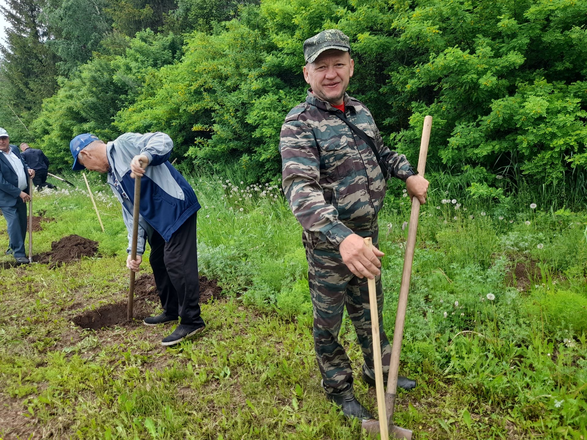 Агачлар бизи