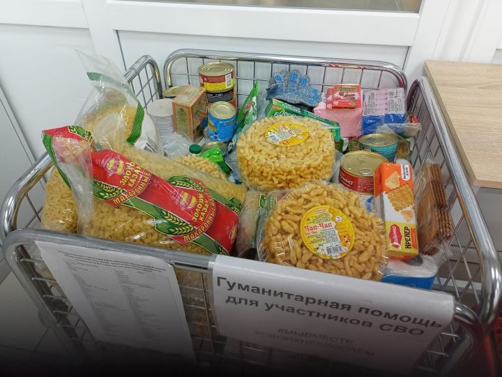 Лисичанск һәм Рубежная шәһәрләренә гуманитар ярдәм жыю оештырыла