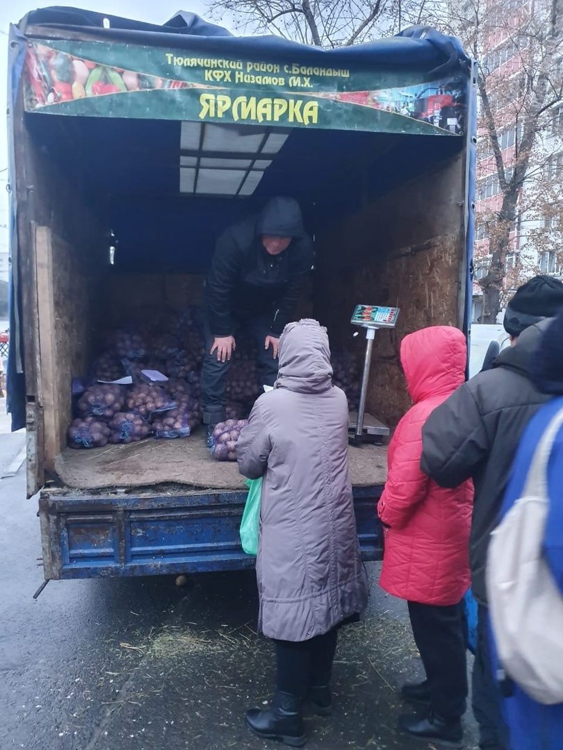 Теләчеләр бүген янә башкалада сату итә