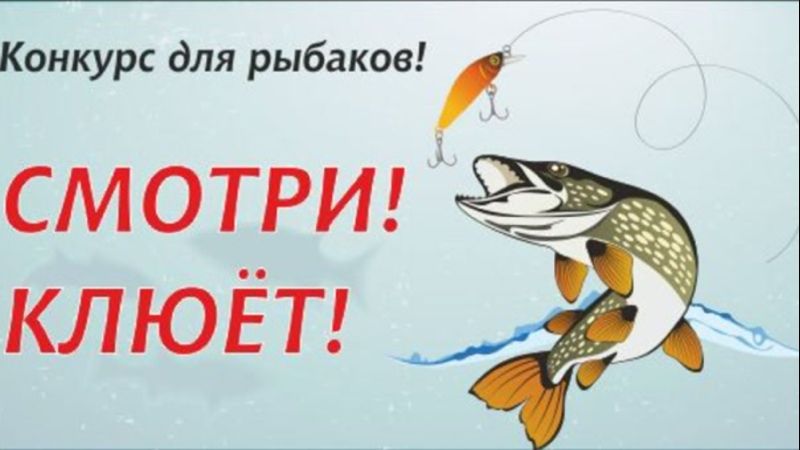 Балыкчылар турниры узачак