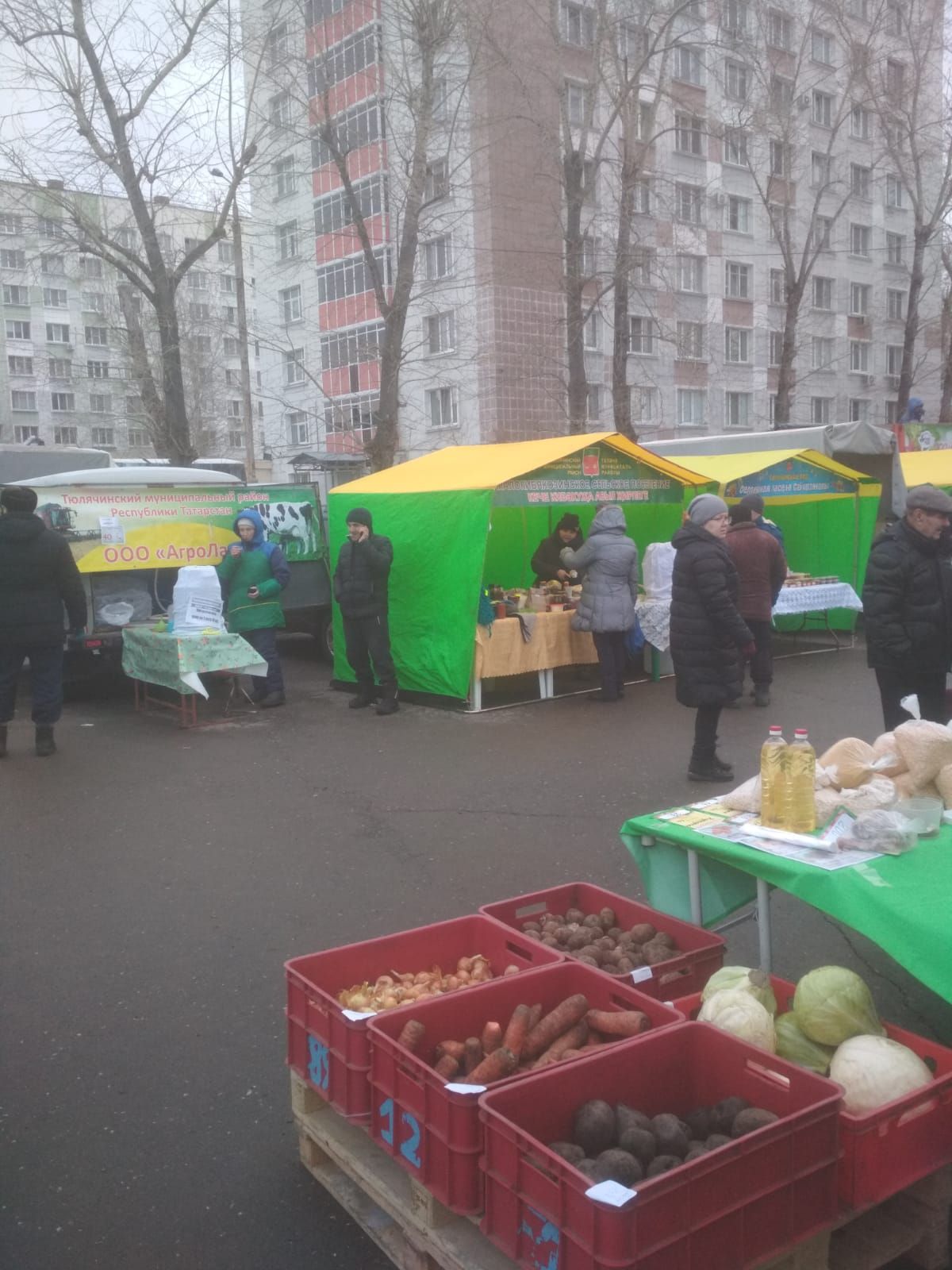 Ярминкәләр башланды
