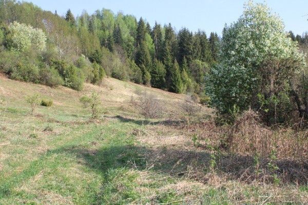 Татарстанга тизлеге 20 метрга кадәр җитәчәк җил һәм яшенле яңгыр якынлаша