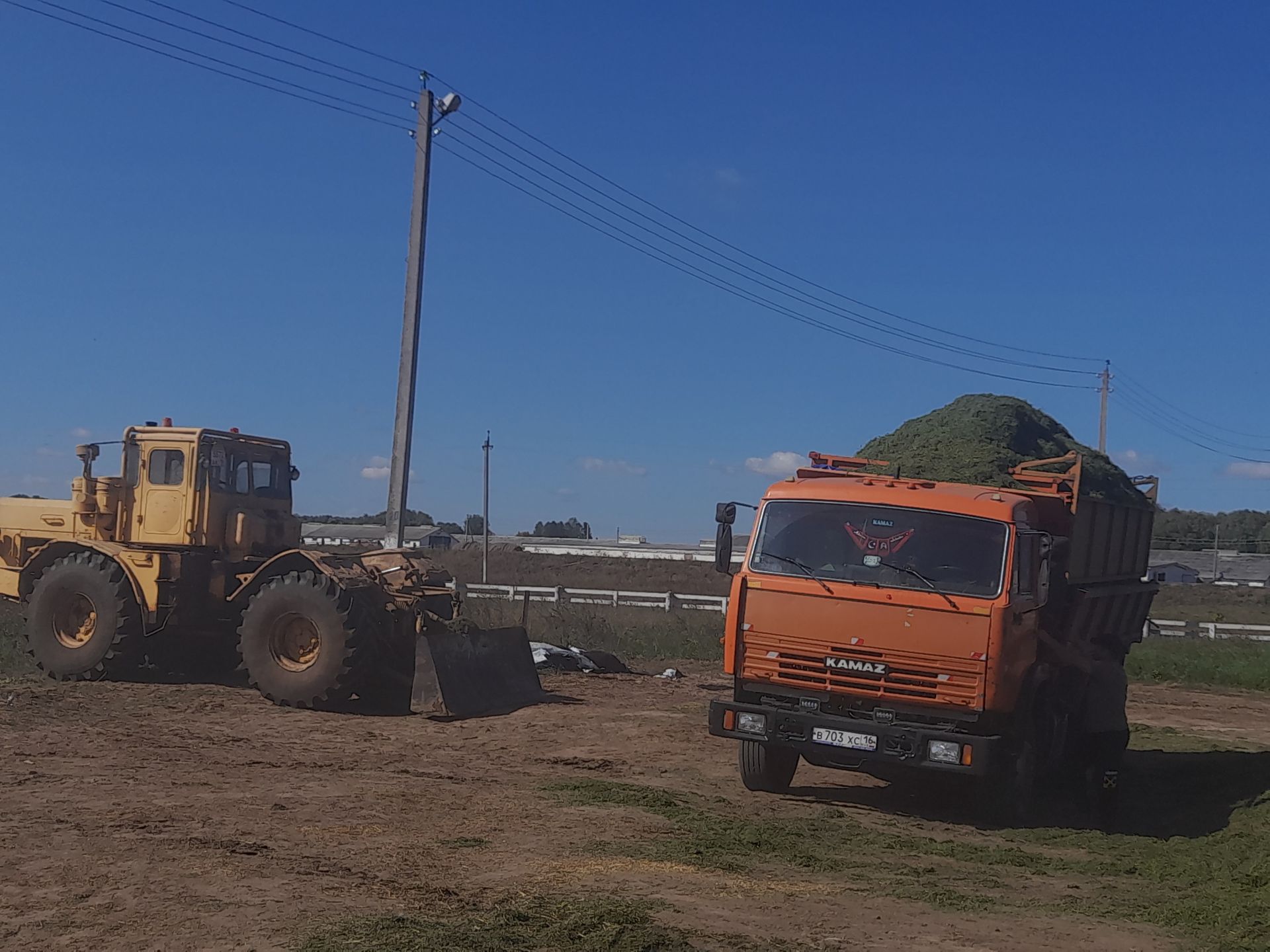 Терлек азыгы әзерләү дәвам итә