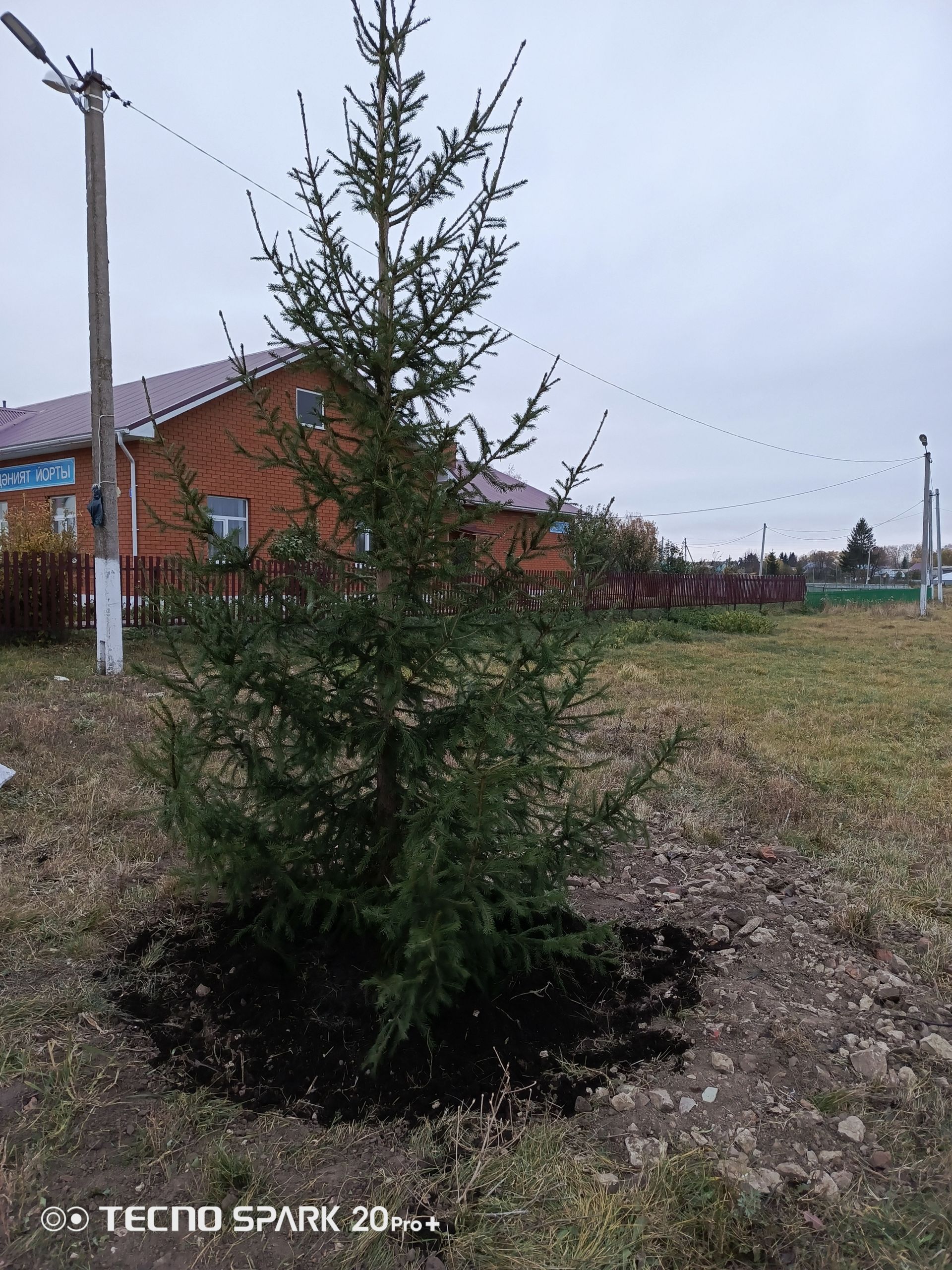 «Урманны саклыйк» акциясендә катнаштылар