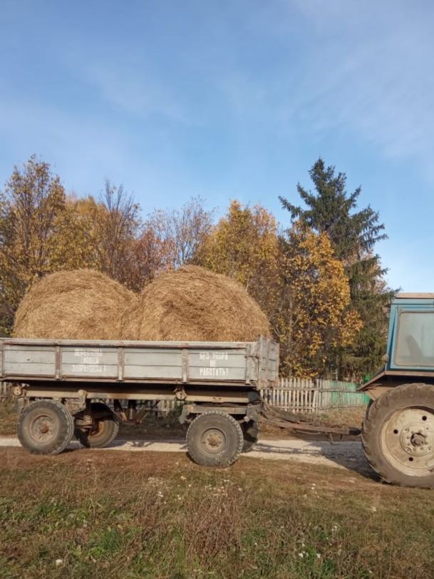 Махсус хәрби операциядә катнашучыларның гаиләләренә ярдәм