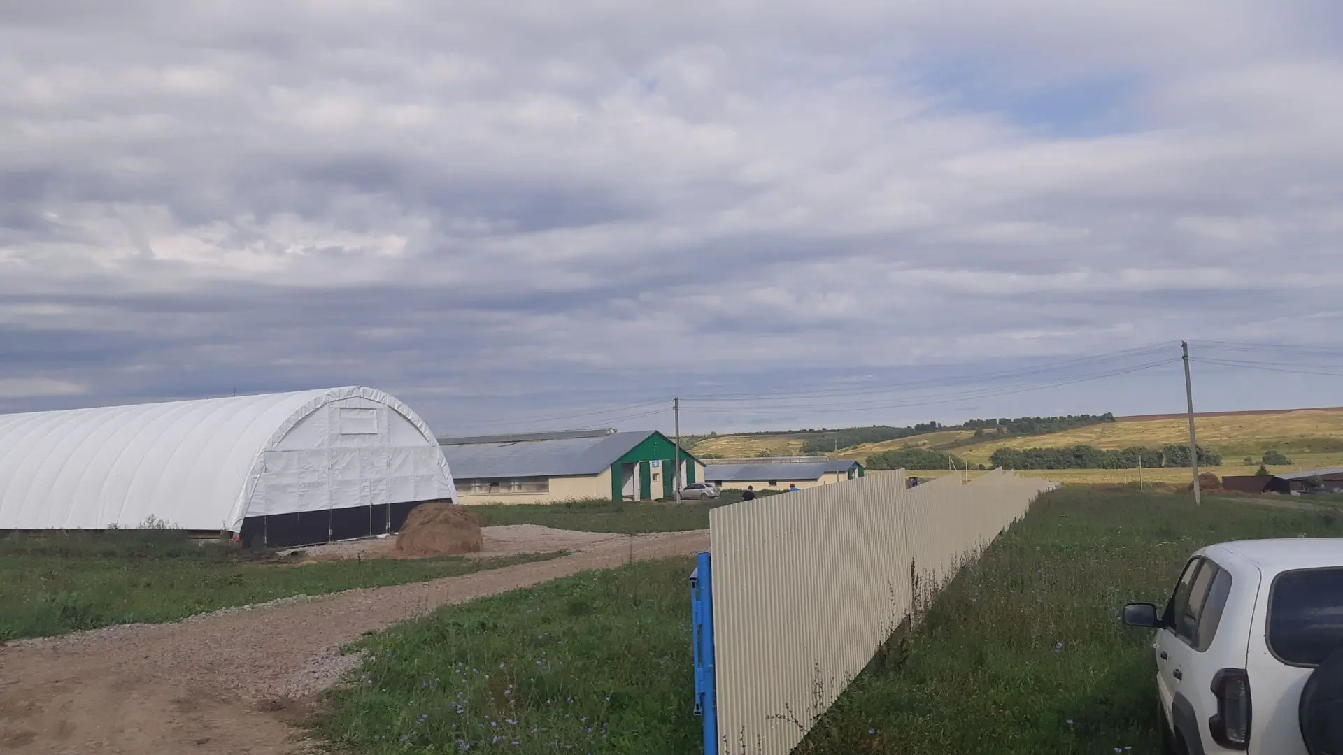 Заманча терлекчелек комплекслары - бүгенге көн таләбе