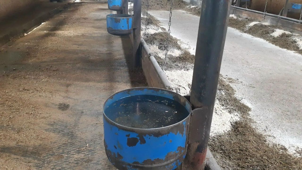 Районыбызда иллегә якын крестьян-фермер хуҗалыгы бар