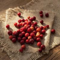 Нарат җиләге файдасы