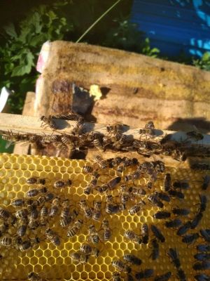 Татарстанда үзмәшгульләр саны ярты миллионга җиткән