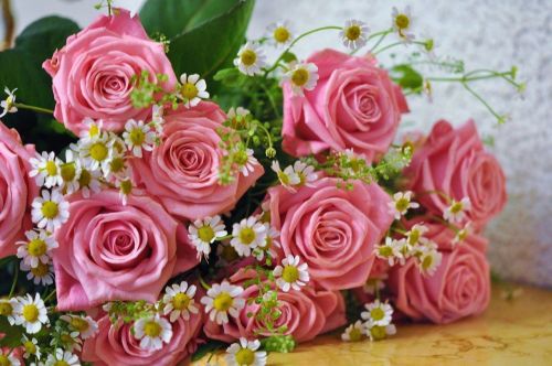 29 ноябрь көнне Олы Мәтәскә авылында яшәүче Исхакова Энҗе Мәүлетҗан кызының  туган коне