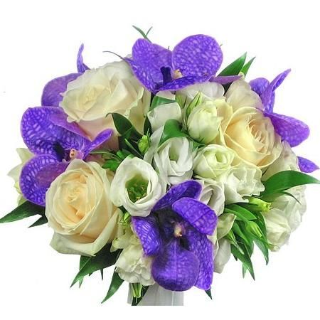 11 ноябрь  көнне Сауш авылында яшәүче  Гимадиев Әнәс Нәҗип улының һәм  Теләчедә яшәүче Гайнетдинова Әнисә  Нәҗип кызының туган көннәре булып узды