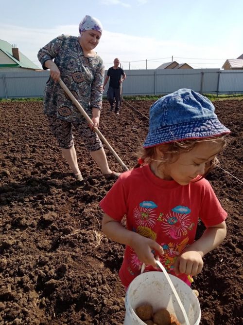 Теләче авылыннан Вәлиәхметова Мәдинә  «Әтием - гаилә терәге» район  бәйгесендә катнаша