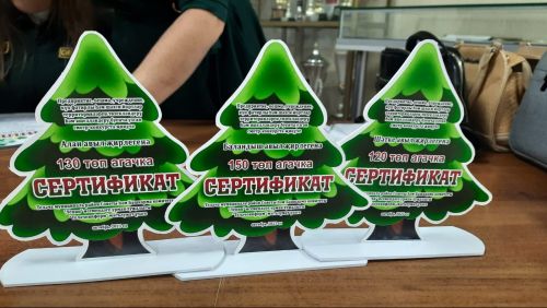 Территорияләрне төзекләндерү һәм яшелләндерү буенча узган  смотр-конкурска нәтиҗәләр ясалды