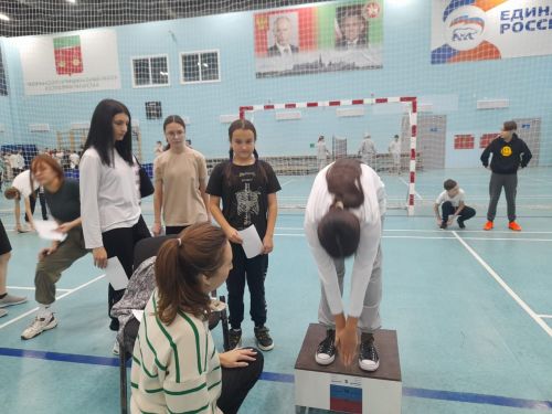 Прошел фестиваль Всероссийского физкультурно-спортивного комплекса «Готов к труду и обороне»