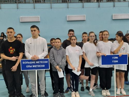 Прошел фестиваль Всероссийского физкультурно-спортивного комплекса «Готов к труду и обороне»