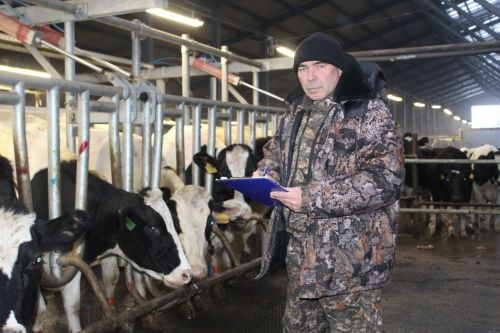 Сыерлар биредә бәйсез килеш асрала