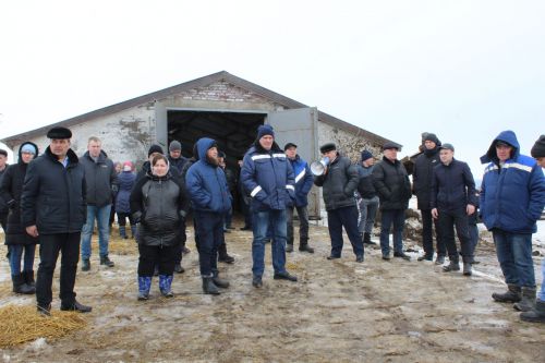 Берәүләр чиләк, икенчеләр кашык белән сава…