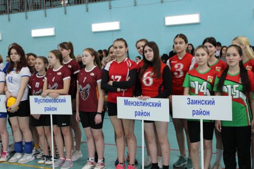 Волейбол мәйданчыгында кызу
