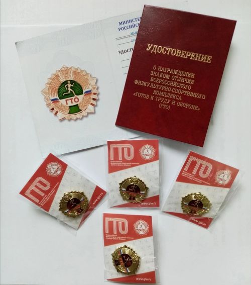 Количество возрастных ступеней Всероссийского физкультурно-спортивного комплекса «Готов к труду и обороне» увеличится